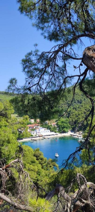 Skopelos Country House Diamantis & Chrisi Agnontas Luaran gambar